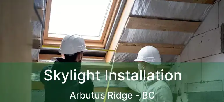  Skylight Installation Arbutus Ridge - BC