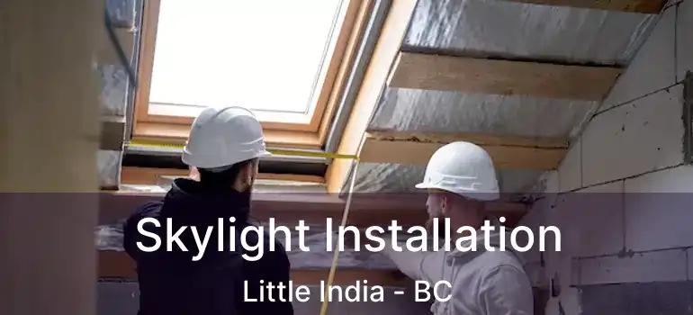  Skylight Installation Little India - BC