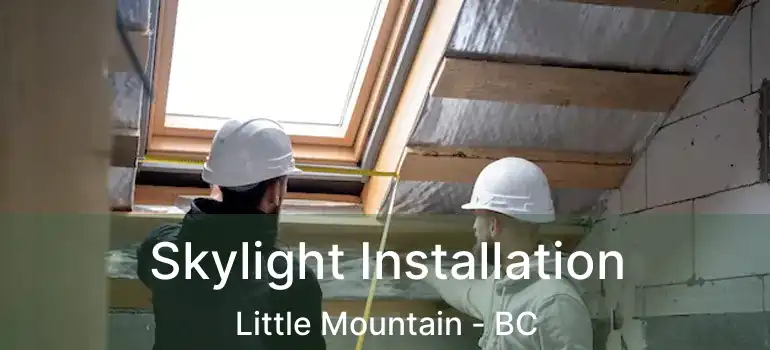  Skylight Installation Little Mountain - BC