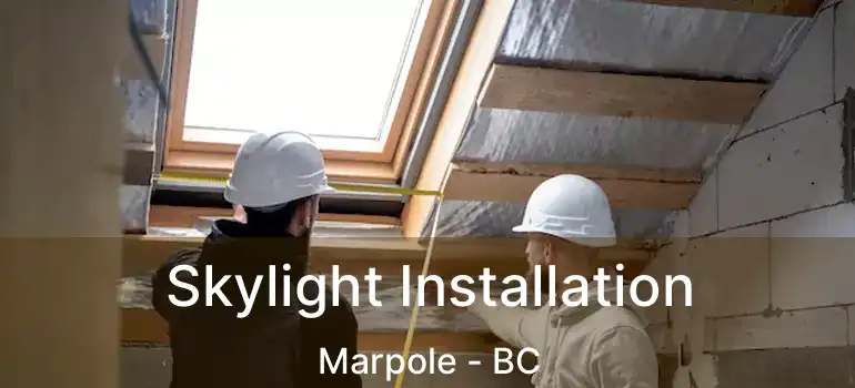  Skylight Installation Marpole - BC
