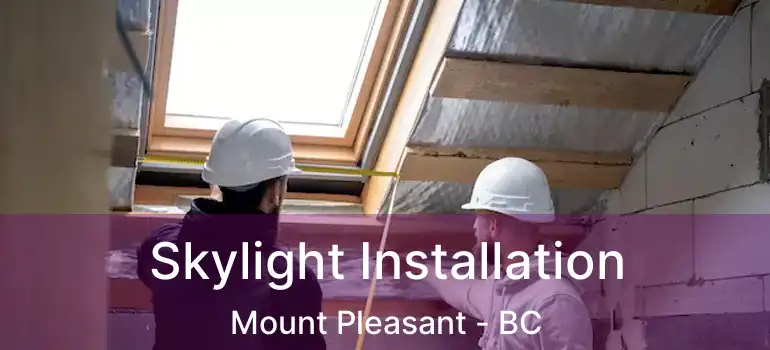  Skylight Installation Mount Pleasant - BC