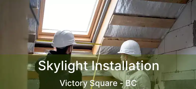  Skylight Installation Victory Square - BC