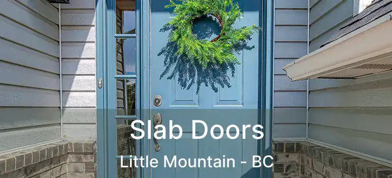  Slab Doors Little Mountain - BC