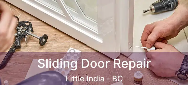  Sliding Door Repair Little India - BC