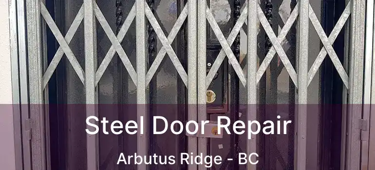  Steel Door Repair Arbutus Ridge - BC