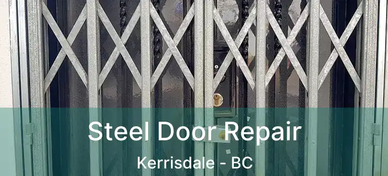  Steel Door Repair Kerrisdale - BC