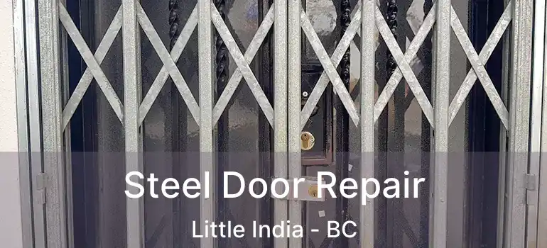  Steel Door Repair Little India - BC