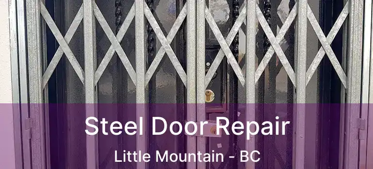  Steel Door Repair Little Mountain - BC