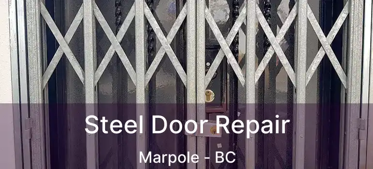  Steel Door Repair Marpole - BC