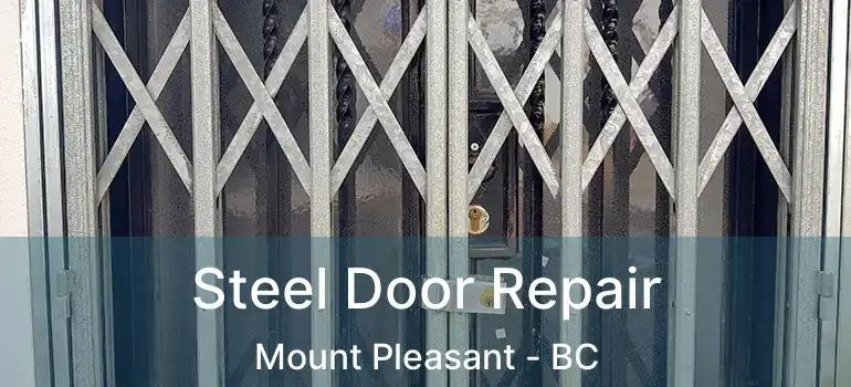  Steel Door Repair Mount Pleasant - BC