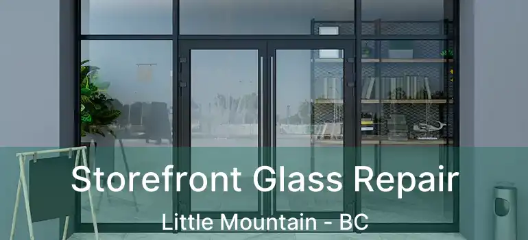  Storefront Glass Repair Little Mountain - BC