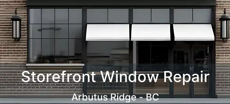  Storefront Window Repair Arbutus Ridge - BC
