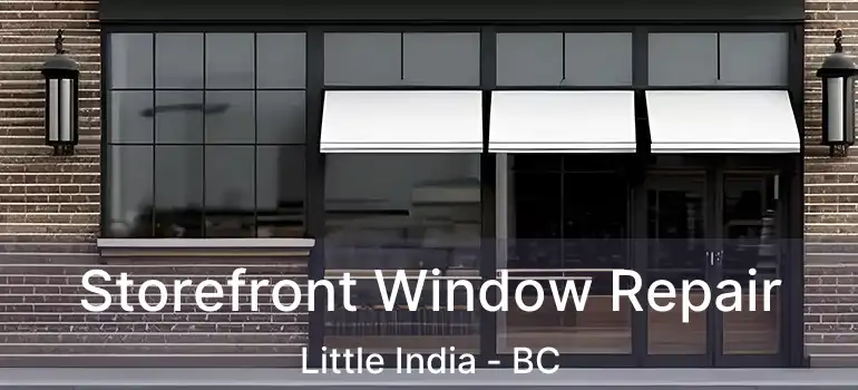  Storefront Window Repair Little India - BC