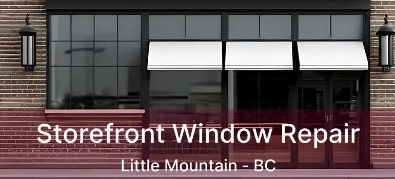  Storefront Window Repair Little Mountain - BC