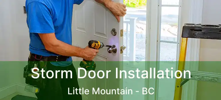  Storm Door Installation Little Mountain - BC