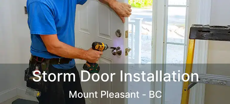  Storm Door Installation Mount Pleasant - BC
