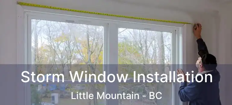  Storm Window Installation Little Mountain - BC