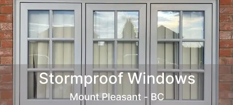  Stormproof Windows Mount Pleasant - BC