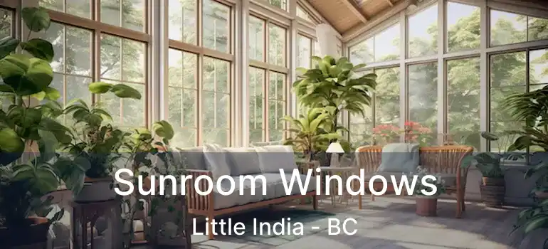  Sunroom Windows Little India - BC