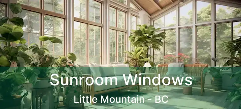  Sunroom Windows Little Mountain - BC
