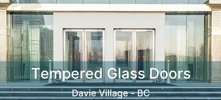  Tempered Glass Doors Davie Village - BC
