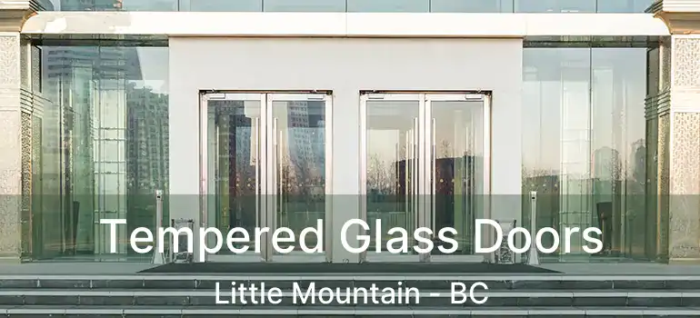  Tempered Glass Doors Little Mountain - BC
