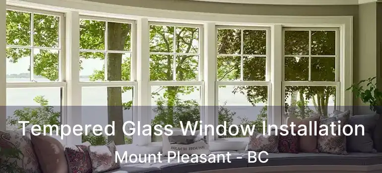  Tempered Glass Window Installation Mount Pleasant - BC