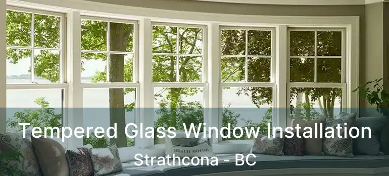  Tempered Glass Window Installation Strathcona - BC