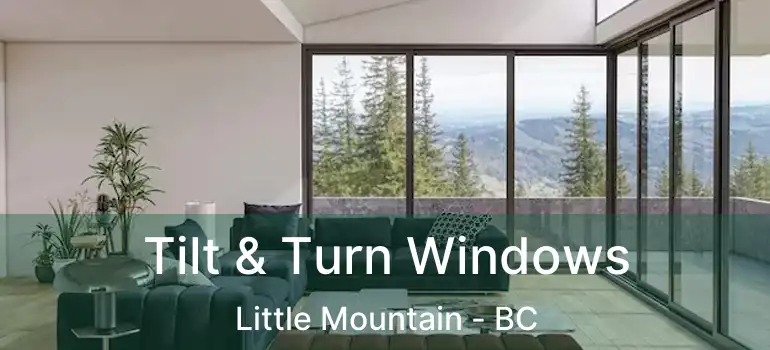  Tilt & Turn Windows Little Mountain - BC