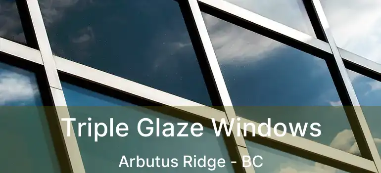  Triple Glaze Windows Arbutus Ridge - BC