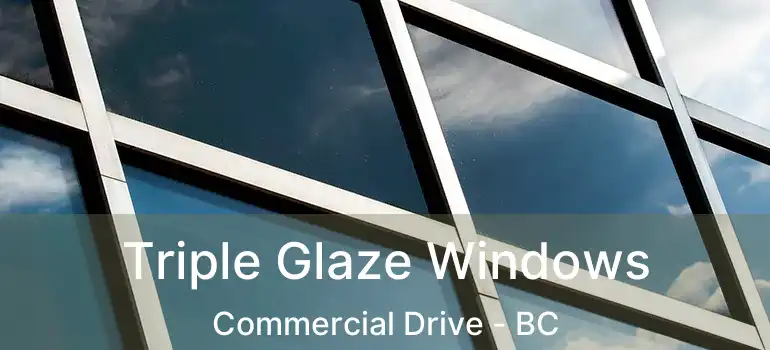  Triple Glaze Windows Commercial Drive - BC