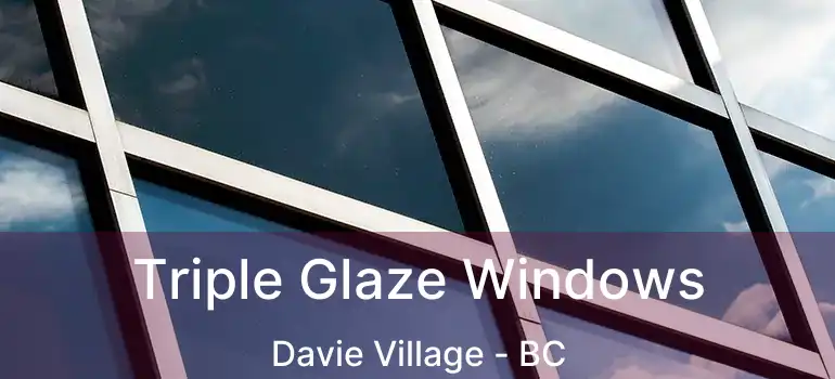  Triple Glaze Windows Davie Village - BC