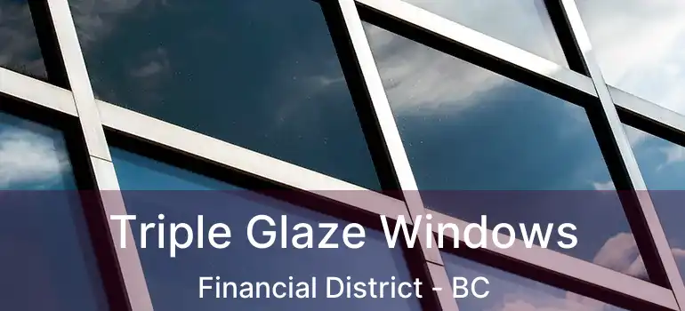  Triple Glaze Windows Financial District - BC