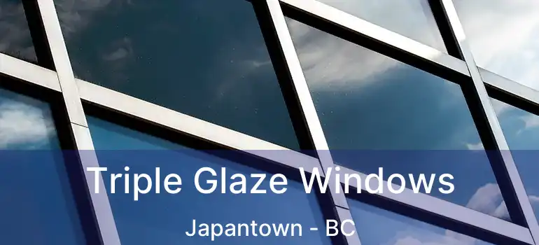  Triple Glaze Windows Japantown - BC