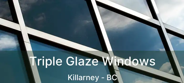  Triple Glaze Windows Killarney - BC