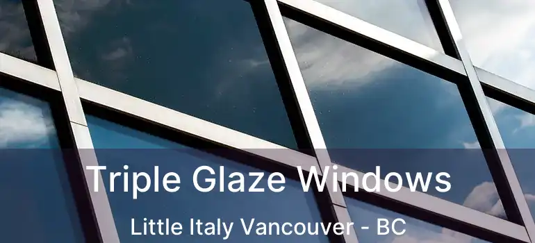  Triple Glaze Windows Little Italy Vancouver - BC