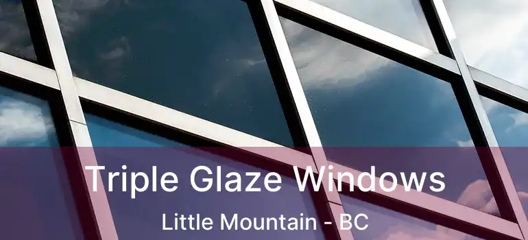  Triple Glaze Windows Little Mountain - BC