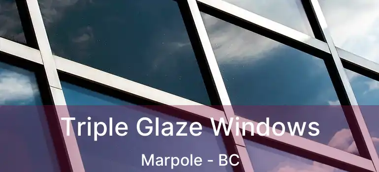  Triple Glaze Windows Marpole - BC
