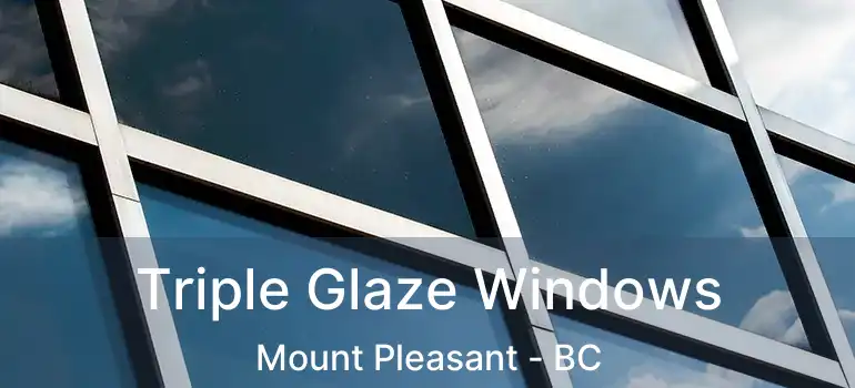  Triple Glaze Windows Mount Pleasant - BC