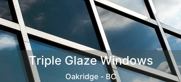  Triple Glaze Windows Oakridge - BC