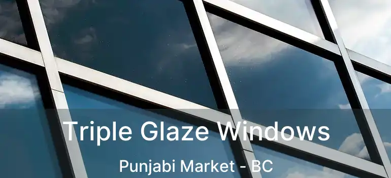  Triple Glaze Windows Punjabi Market - BC