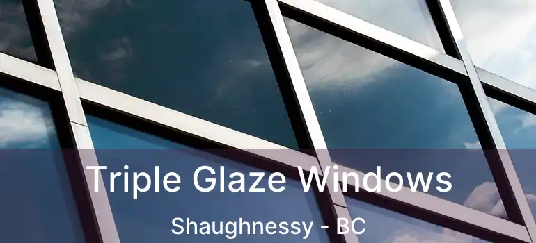  Triple Glaze Windows Shaughnessy - BC