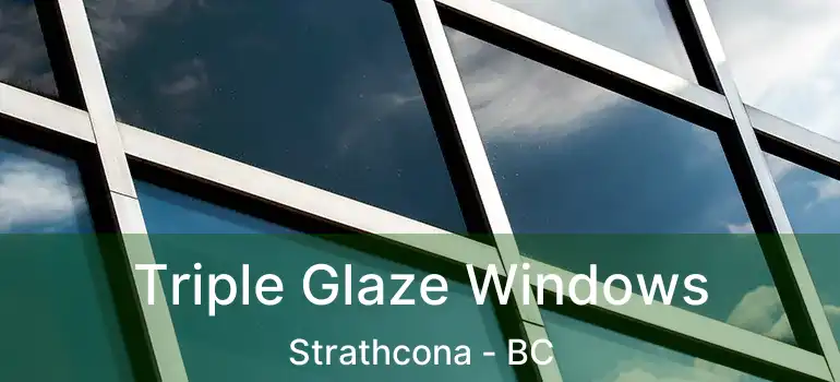  Triple Glaze Windows Strathcona - BC
