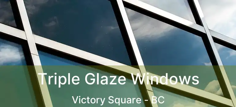  Triple Glaze Windows Victory Square - BC
