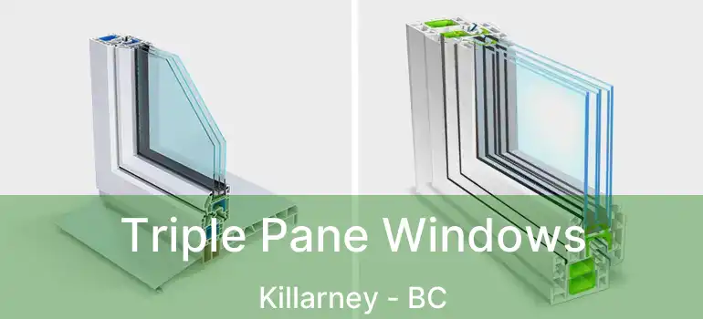  Triple Pane Windows Killarney - BC