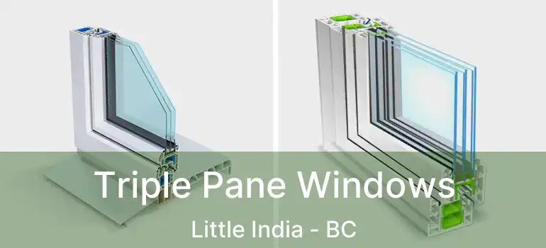  Triple Pane Windows Little India - BC