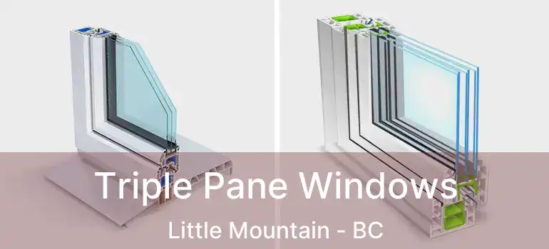  Triple Pane Windows Little Mountain - BC