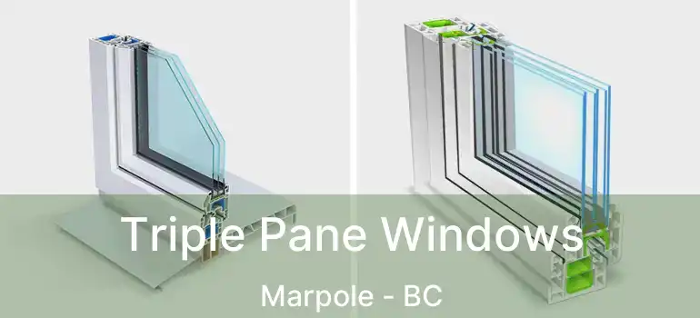  Triple Pane Windows Marpole - BC