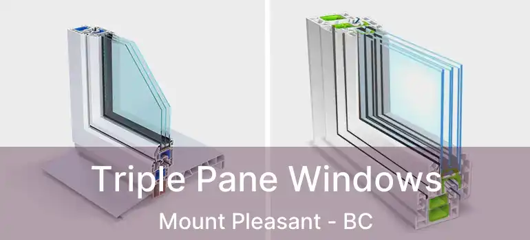  Triple Pane Windows Mount Pleasant - BC
