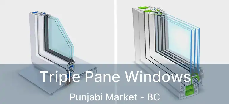  Triple Pane Windows Punjabi Market - BC